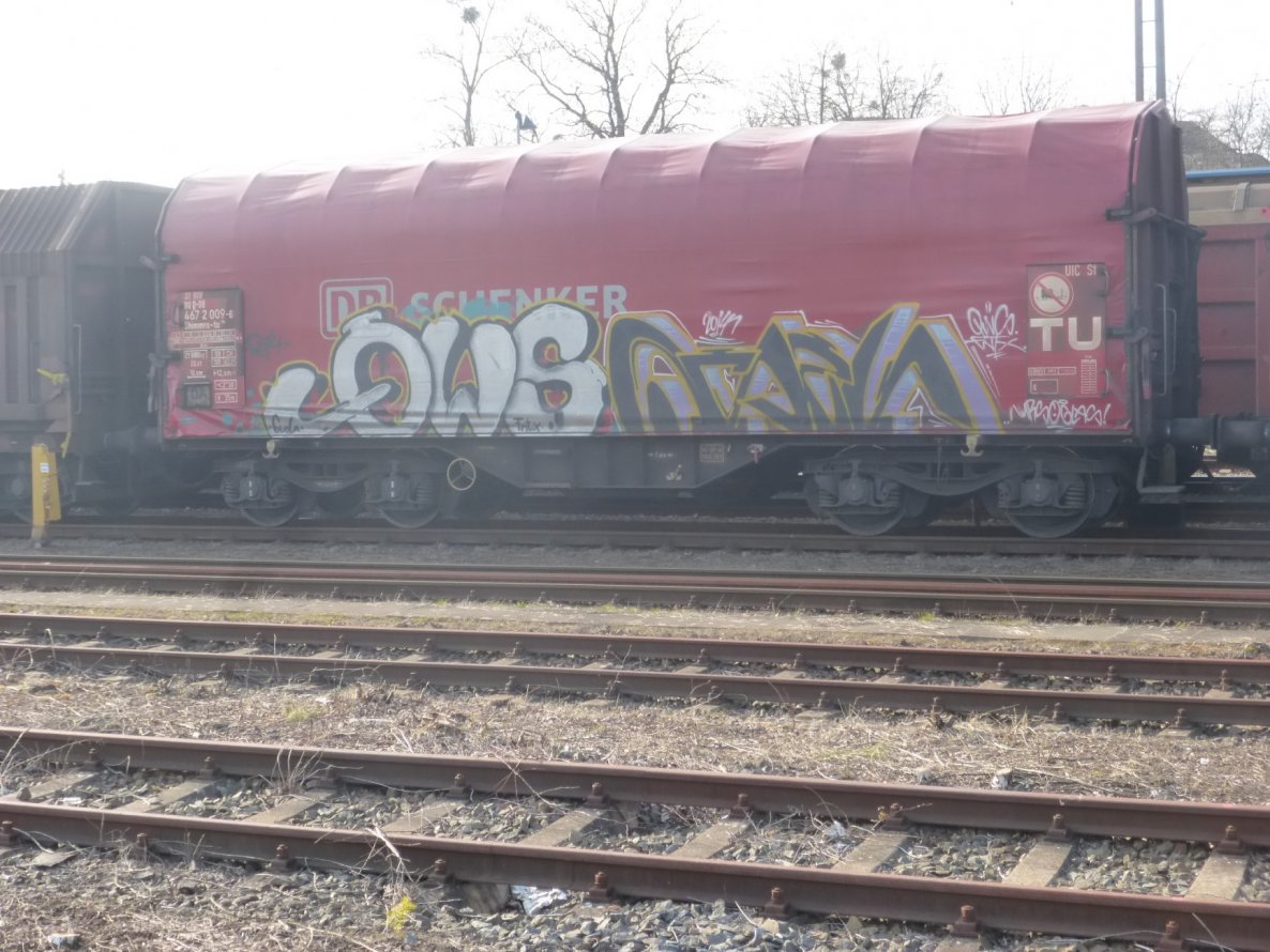 Graffiti Train - Photo by Candyflip - qws