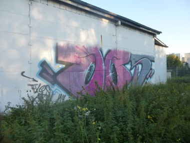 Graffiti Bombing in Magdeburg - Photo by Candyflip - magdeburg, oo, oo´s