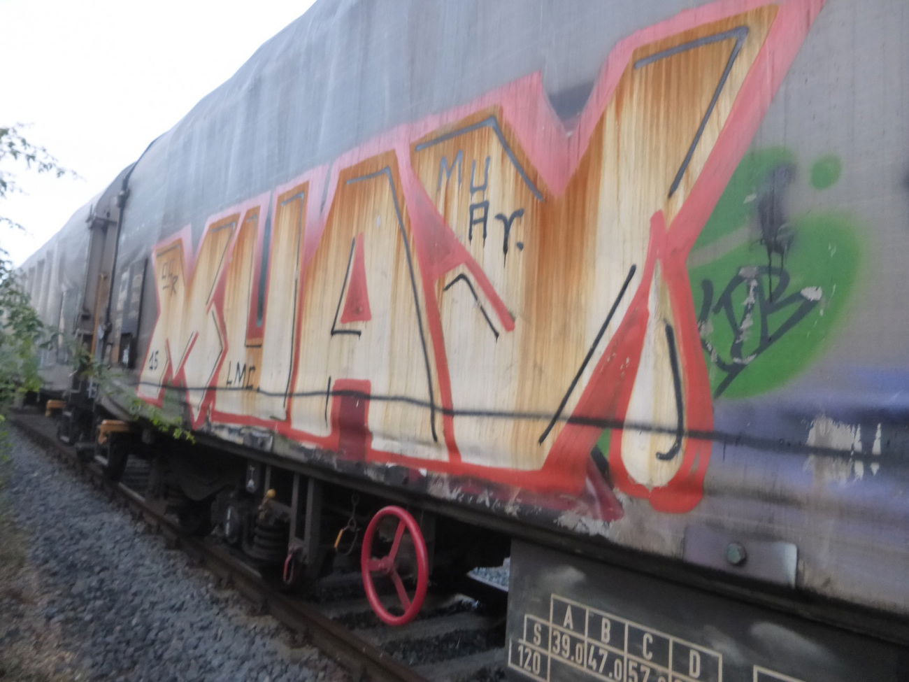 Graffiti Train in Magdeburg - Photo by Candyflip - freight, magdeburg, muay