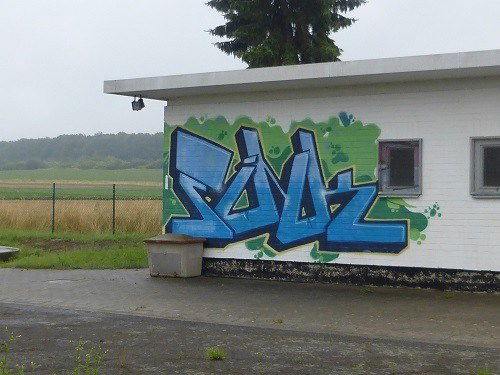 Graffiti Bombing in Deutschland - Photo by Candyflip - fink