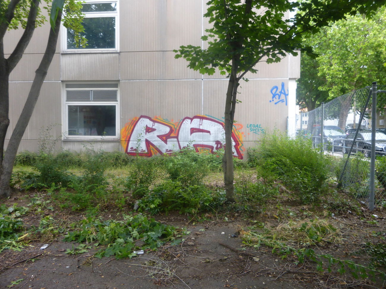 Graffiti Bombing in Braunschweig - Photo by Candyflip - ra, ra, crew