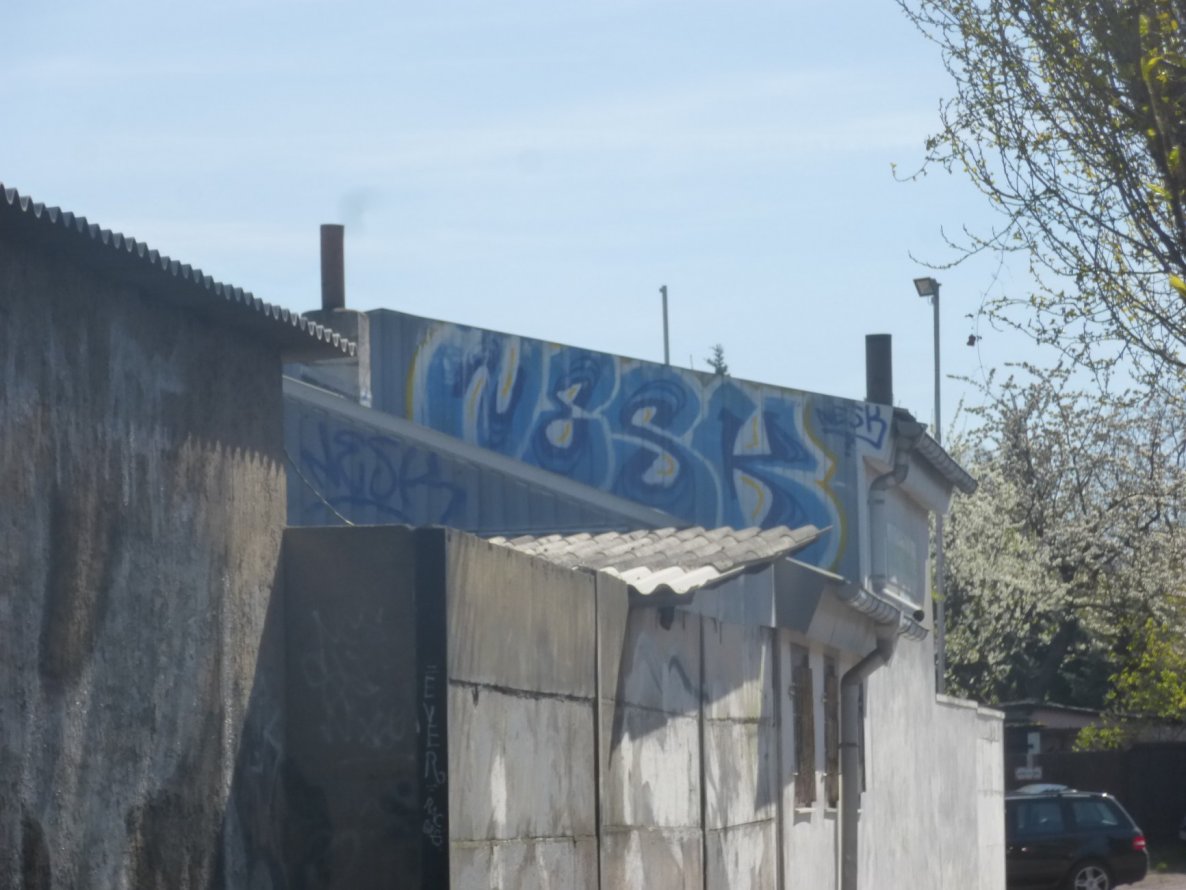 Graffiti Bombing in Magdeburg - Photo by Candyflip - nesk