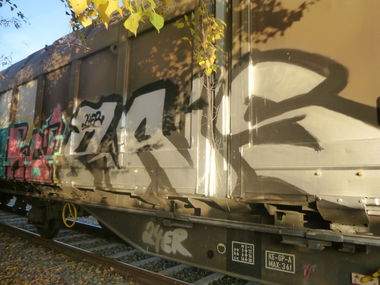 Graffiti Train in Magdeburg - Photo by Candyflip - pais, 24, 24er (2014)