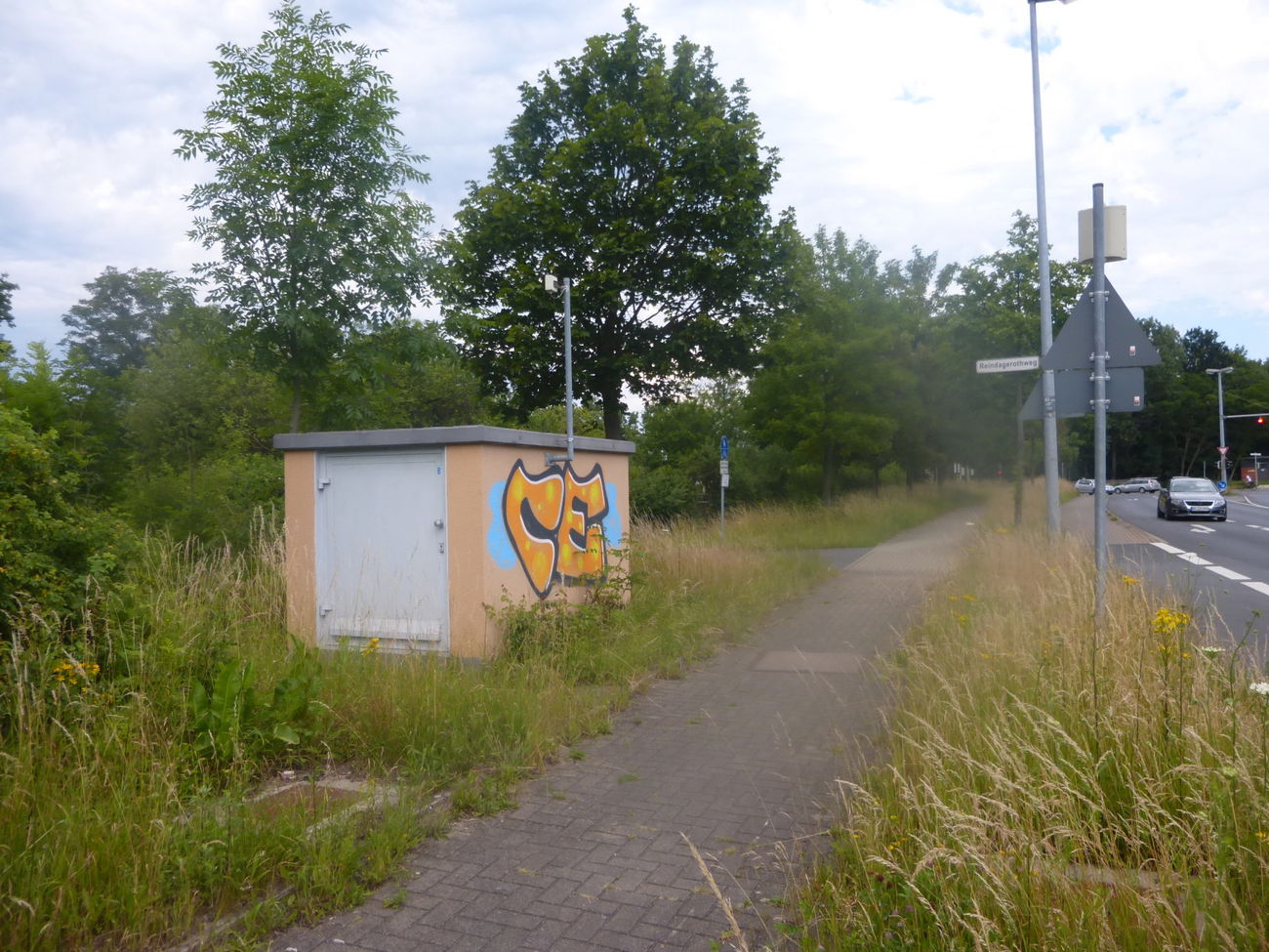 Graffiti Bombing in Braunschweig - Photo by Candyflip - ce, ce, crew