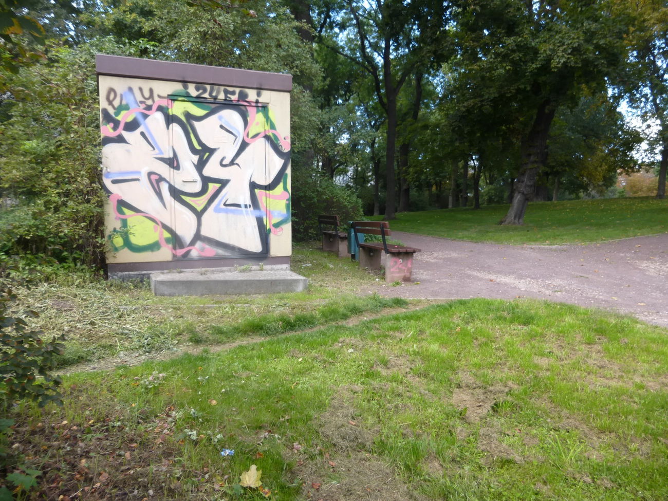 Graffiti Bombing in Magdeburg - Photo by Candyflip - 24, 24er