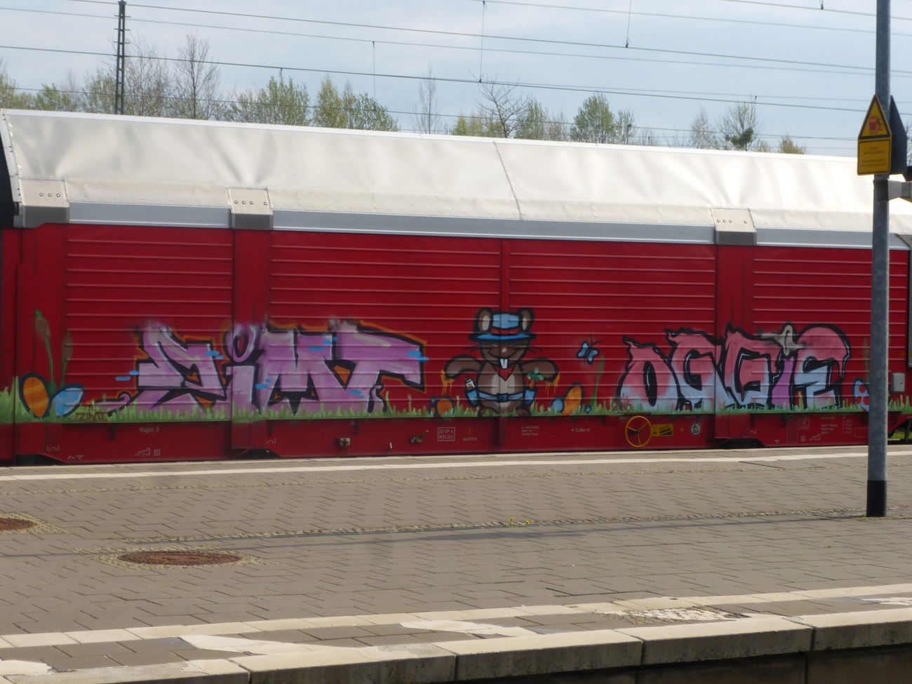 Graffiti Train - Photo by Candyflip - zimt, oggie