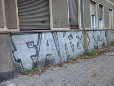 Graffiti Bombing in Magdeburg - Photo by Candyflip - fake, sfo