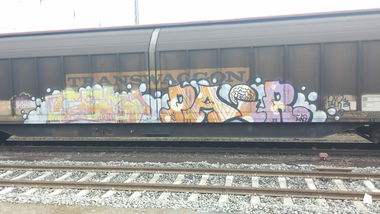 Graffiti Train - Photo by Candyflip - pair