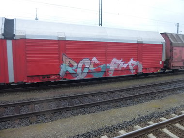 Graffiti Bombing - Photo by Candyflip