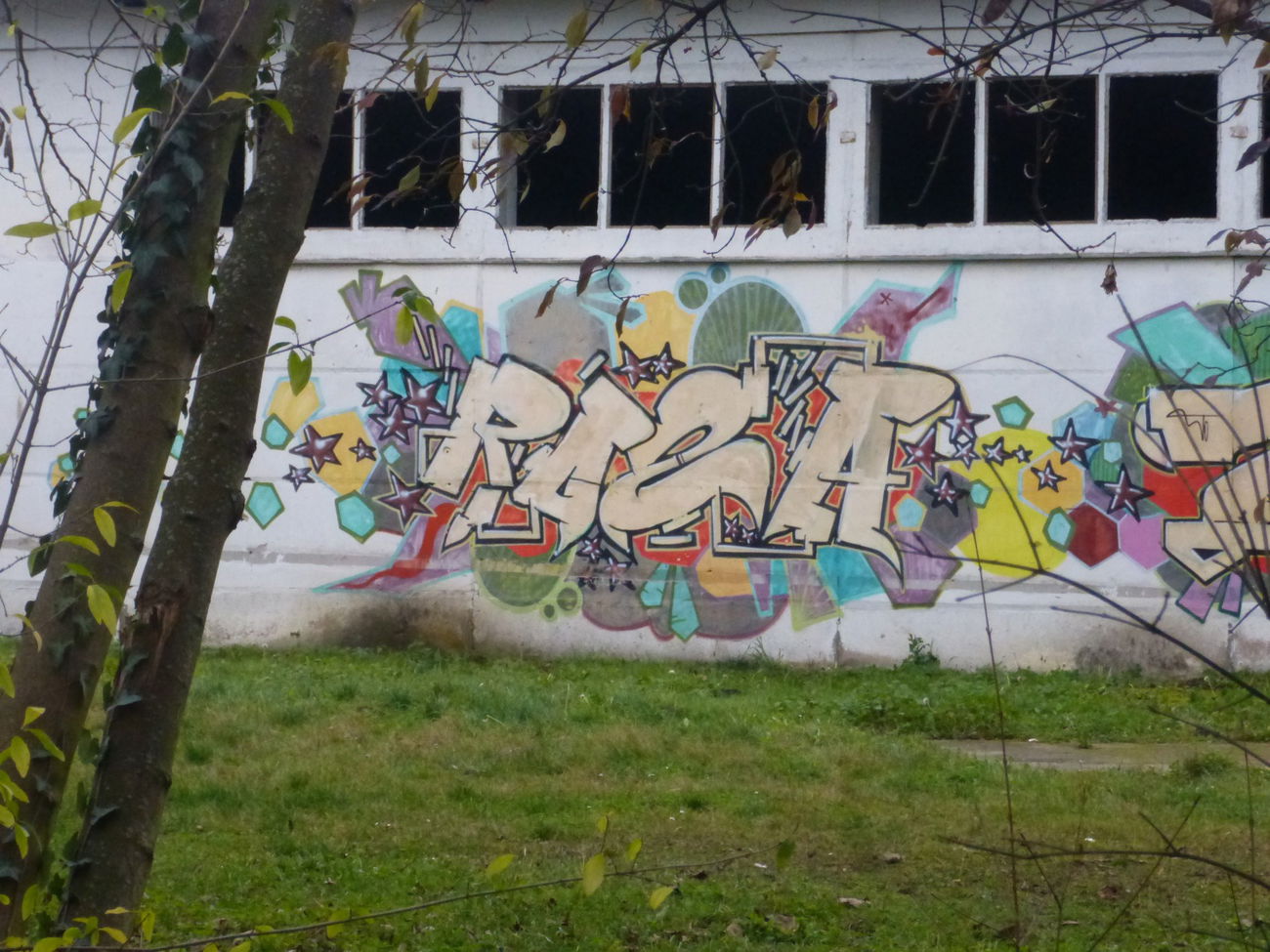 Graffiti Wall in Magdeburg - Photo by Candyflip - rosa.süd, magdeburg