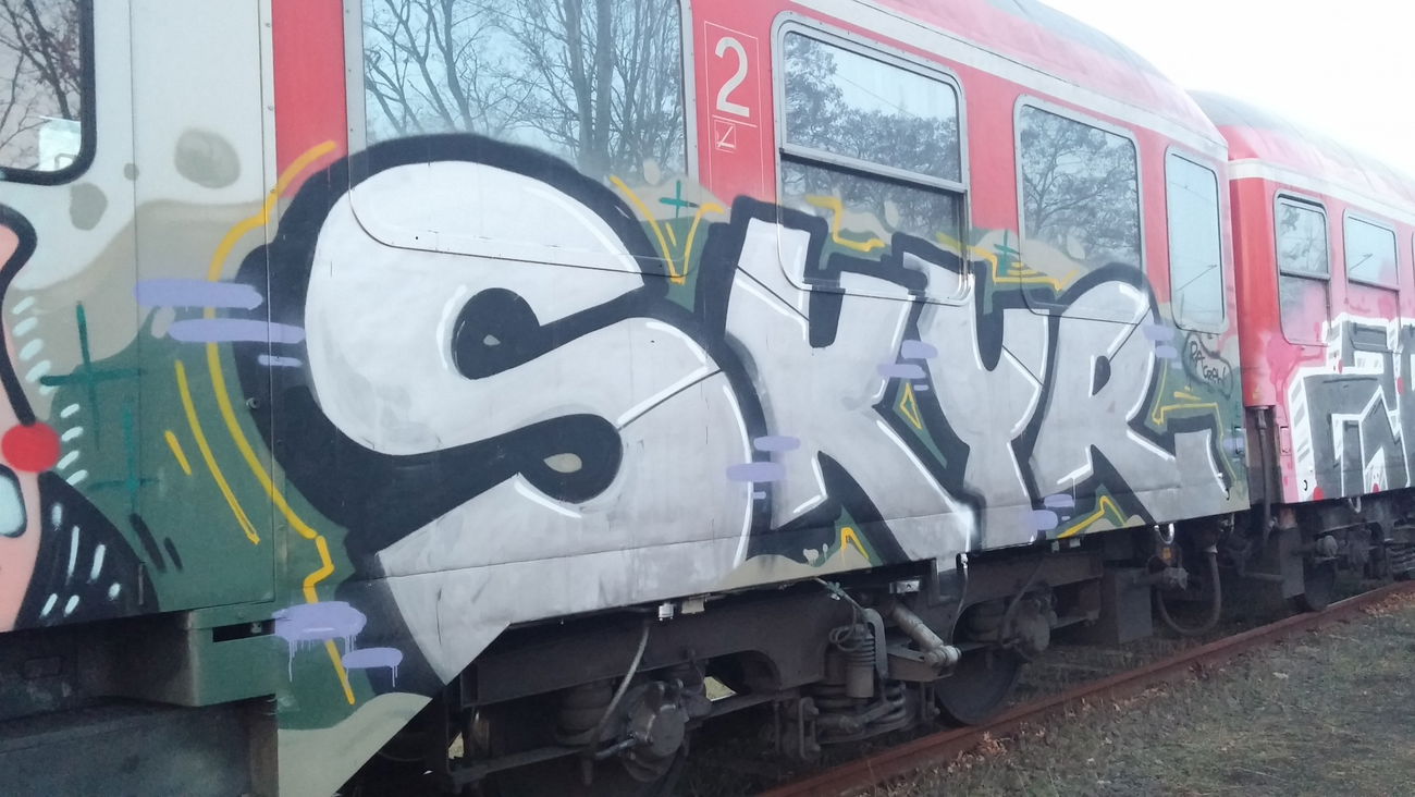 Graffiti Train - Photo by Candyflip - skyr, trasher, braunschweig (2015)