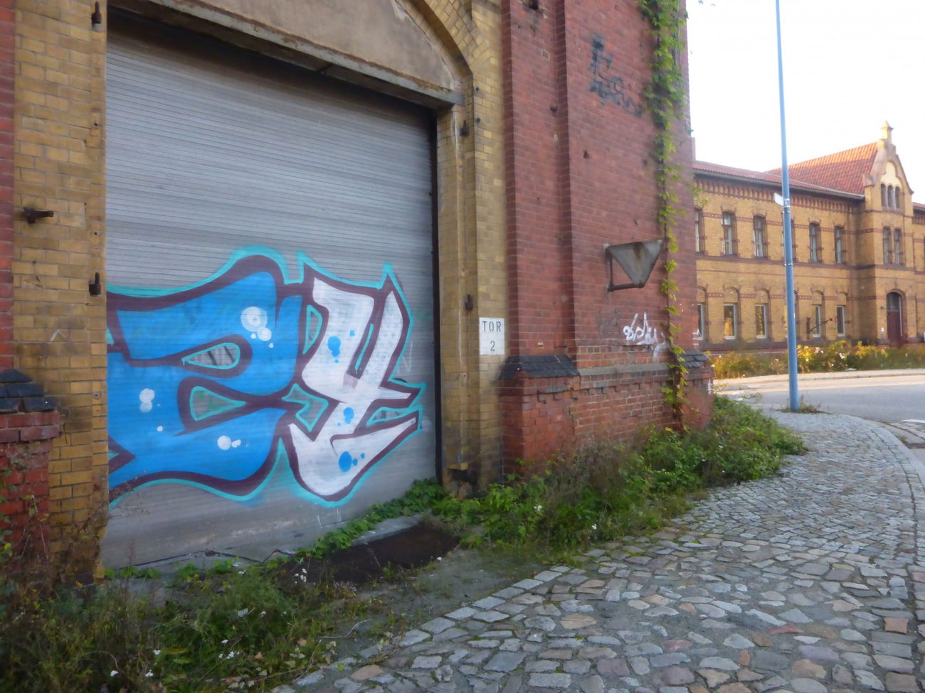 Graffiti Bombing in Magdeburg - Photo by Candyflip - 24, 24er, magdeburg