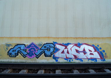 Graffiti Bombing - Photo by Caps_WCBS