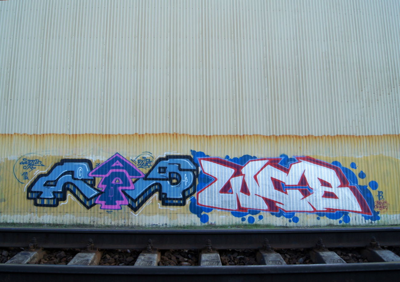 Graffiti Bombing - Photo by Caps_WCBS