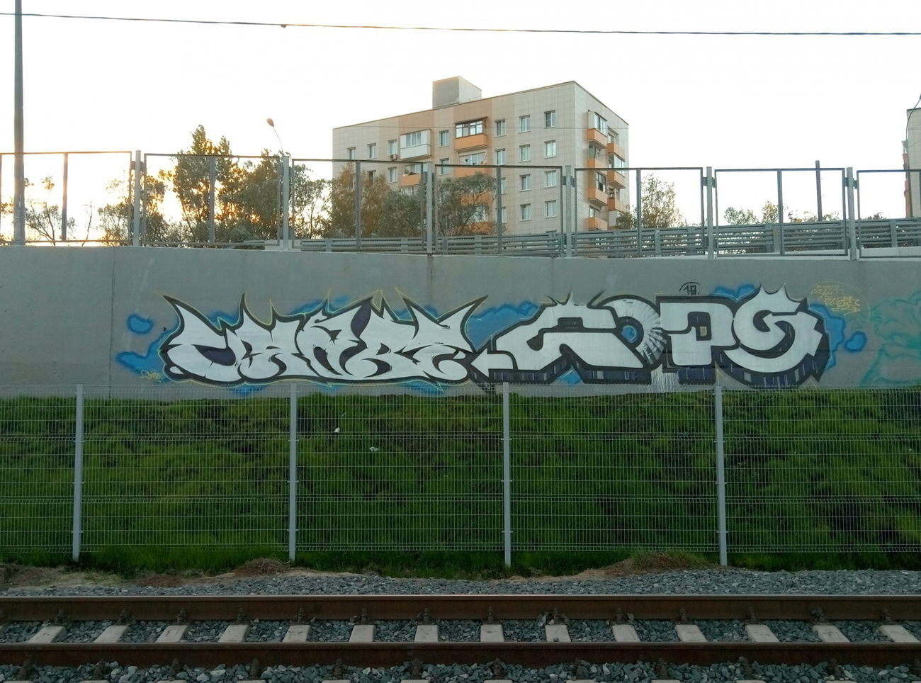 Graffiti Bombing - Photo by Caps_WCBS