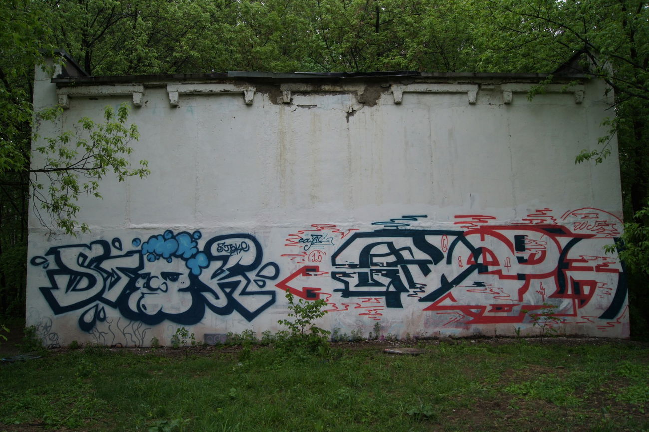 Graffiti Wall - Photo by Caps_WCBS