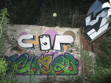 Graffiti Wall - Photo by Caps_WCBS