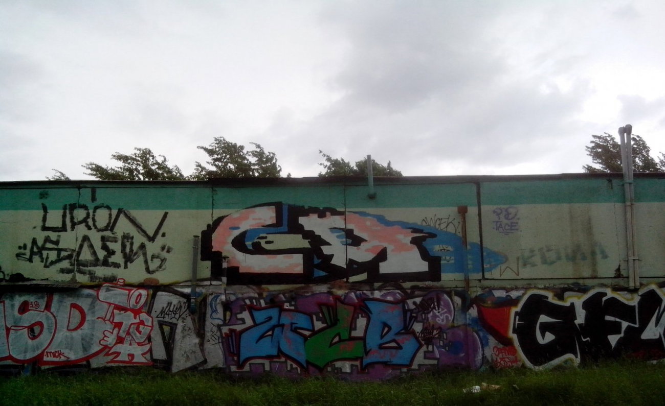 Graffiti Wall - Photo by Caps_WCBS