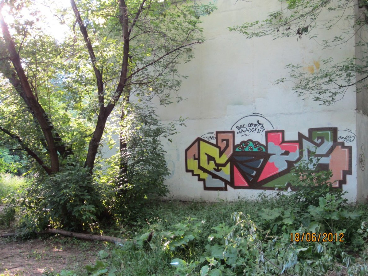 Graffiti Wall - Photo by Caps_WCBS