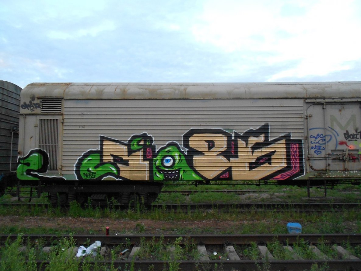 Graffiti Train - Photo by Caps_WCBS