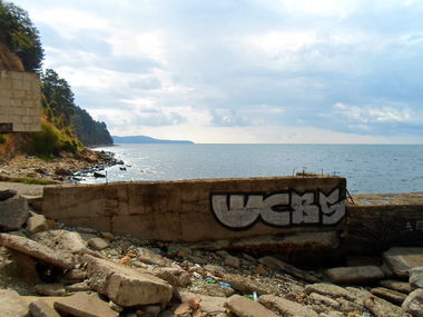 Graffiti Bombing - Photo by Caps_WCBS