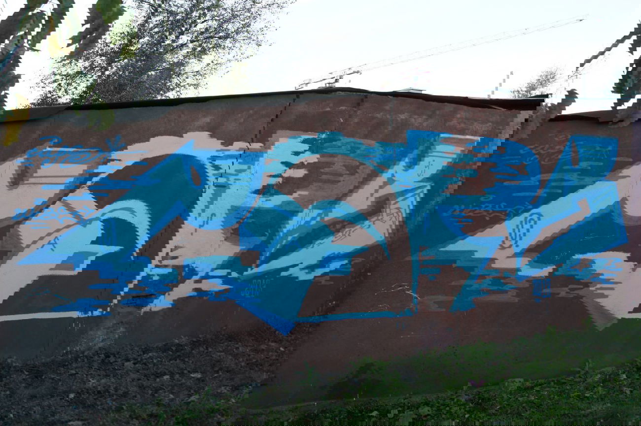 Graffiti Wall - Photo by Caps_WCBS