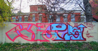 Graffiti Bombing - Photo by Caps_WCBS