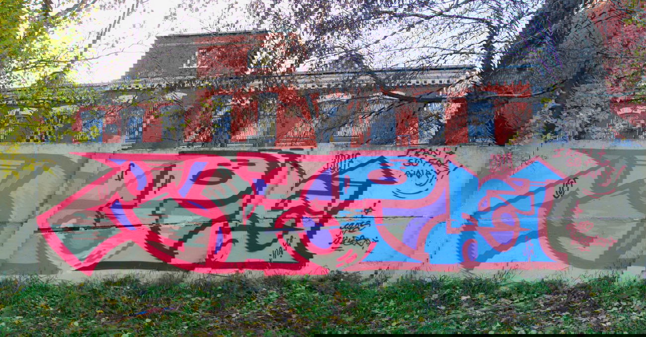 Graffiti Bombing - Photo by Caps_WCBS