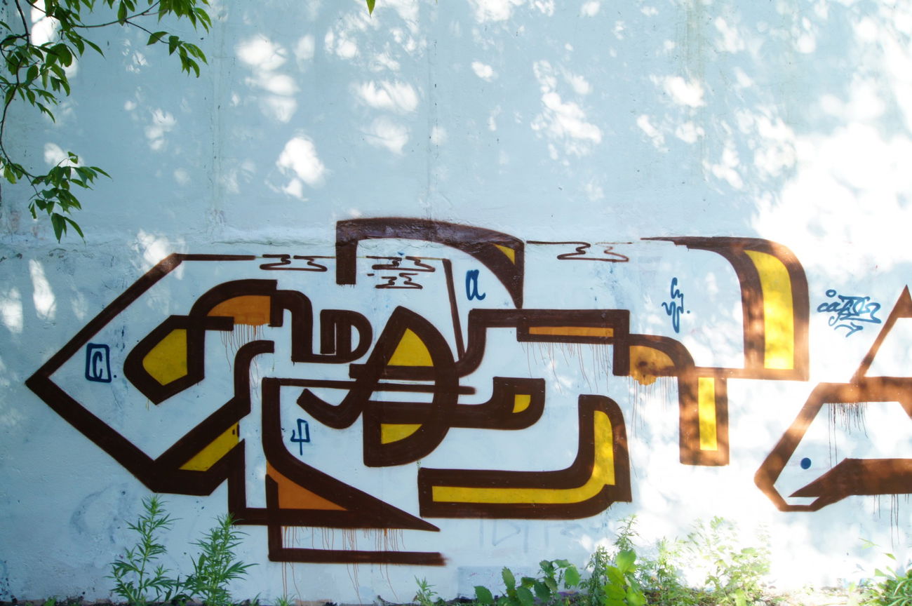 Graffiti Wall - Photo by Caps_WCBS