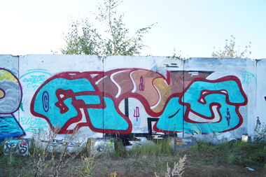 Graffiti Wall - Photo by Caps_WCBS