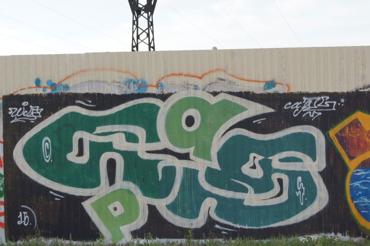 Graffiti Wall - Photo by Caps_WCBS