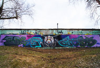 Graffiti Wall - Photo by Caps_WCBS