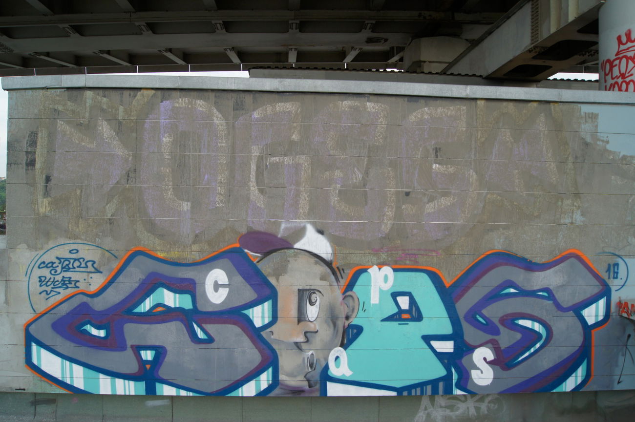 Graffiti Wall - Photo by Caps_WCBS