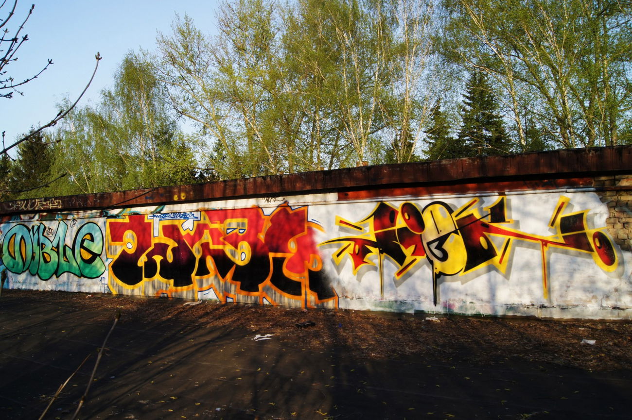 Graffiti Wall - Photo by Caps_WCBS