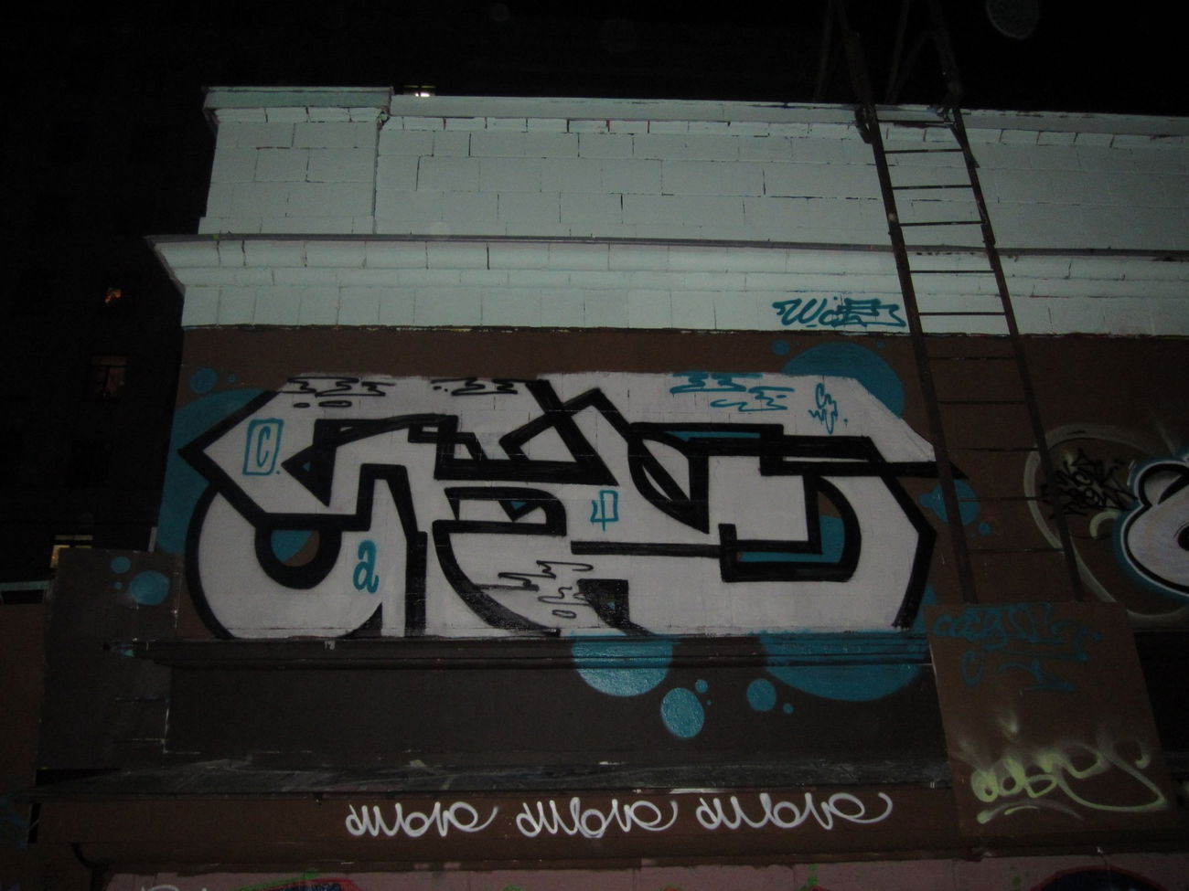 Graffiti Bombing - Photo by Caps_WCBS