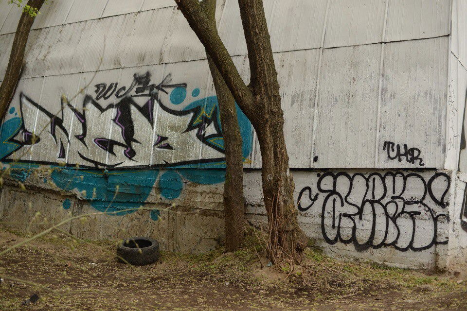 Graffiti Wall - Photo by Caps_WCBS