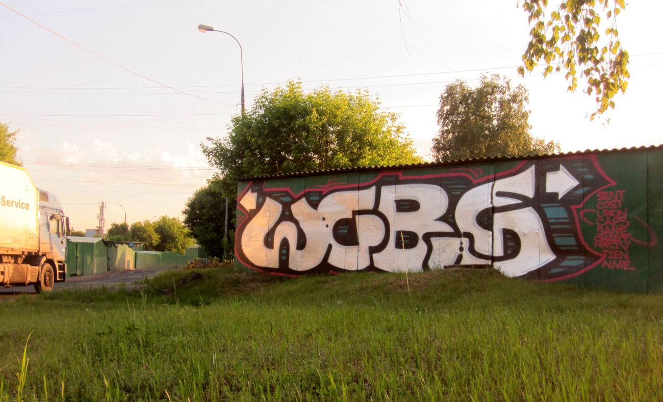 Graffiti Bombing - Photo by Caps_WCBS