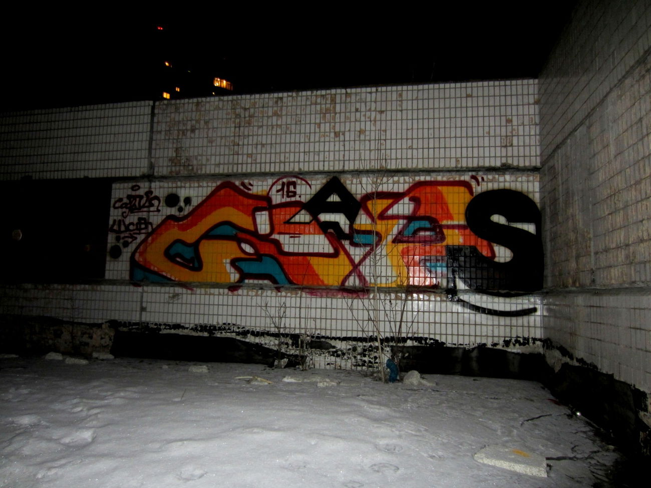 Graffiti Wall - Photo by Caps_WCBS