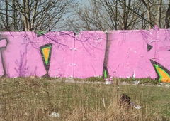 Photo #82450 by TagHagel