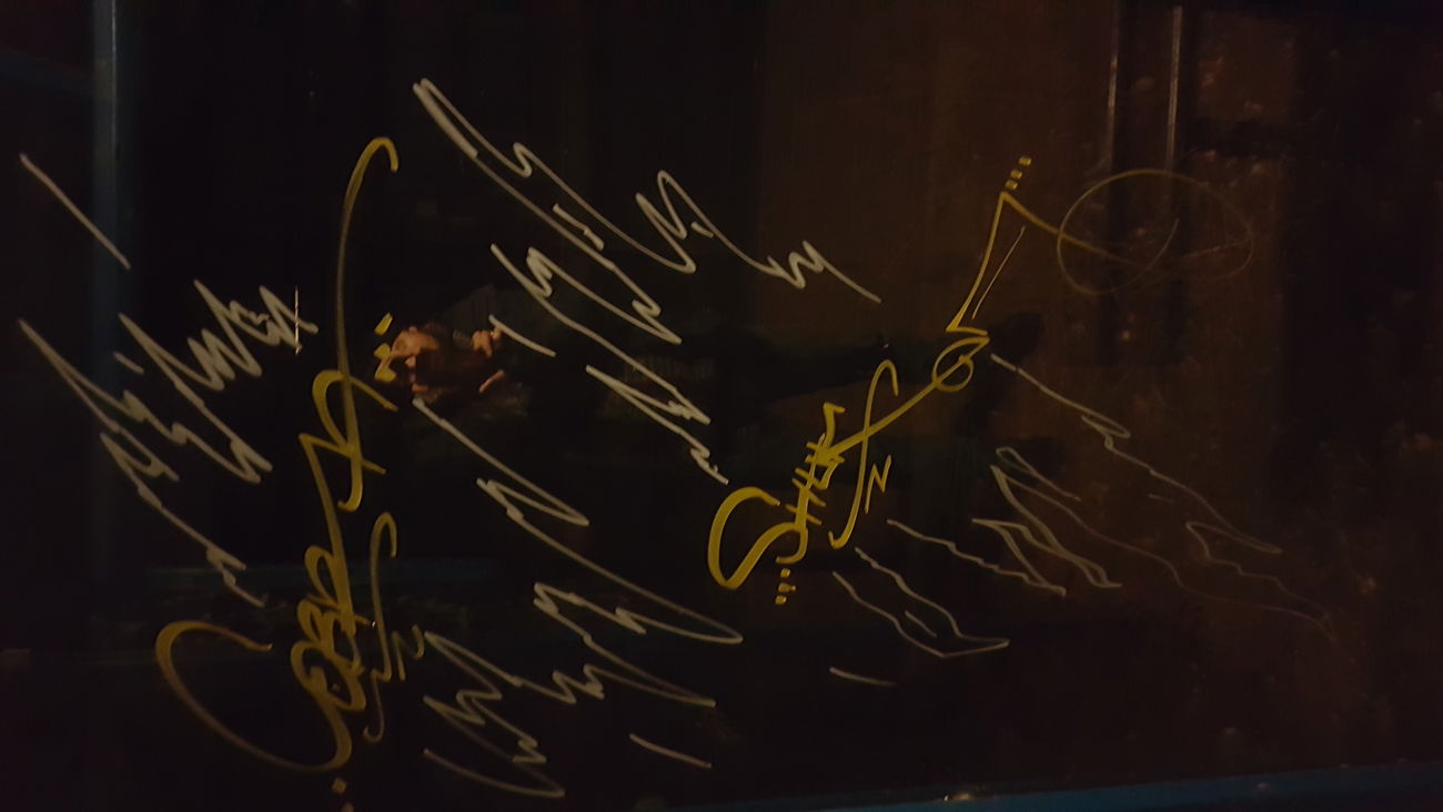 Graffiti Wall - Photo by Carade - Cobra...shaka..d.b.r...k.f.c (2018)