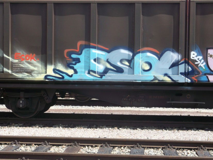 Graffiti Train in Germany - Photo by Chabonaut - Esok, Bsk, Freight (2013)