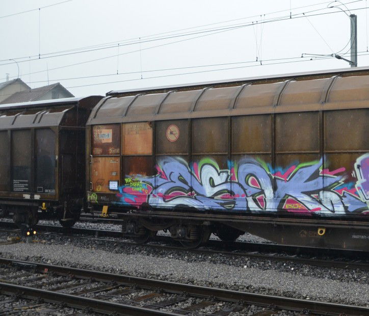 Graffiti Train - Photo by Chabonaut - Esok, Güter, Bsk (2013)
