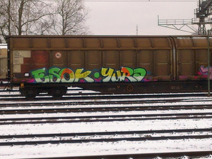Graffiti Train - Photo by Chabonaut (2013)