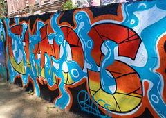 Photo #246929 by iobe1