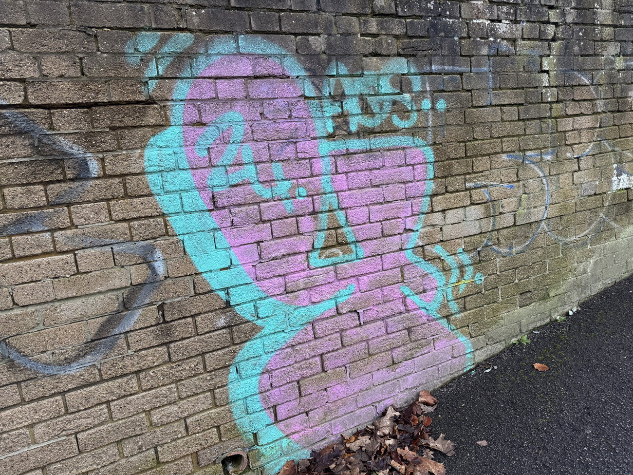 Graffiti Bombing in Rushmoor - Photo by Chels23 (2024)