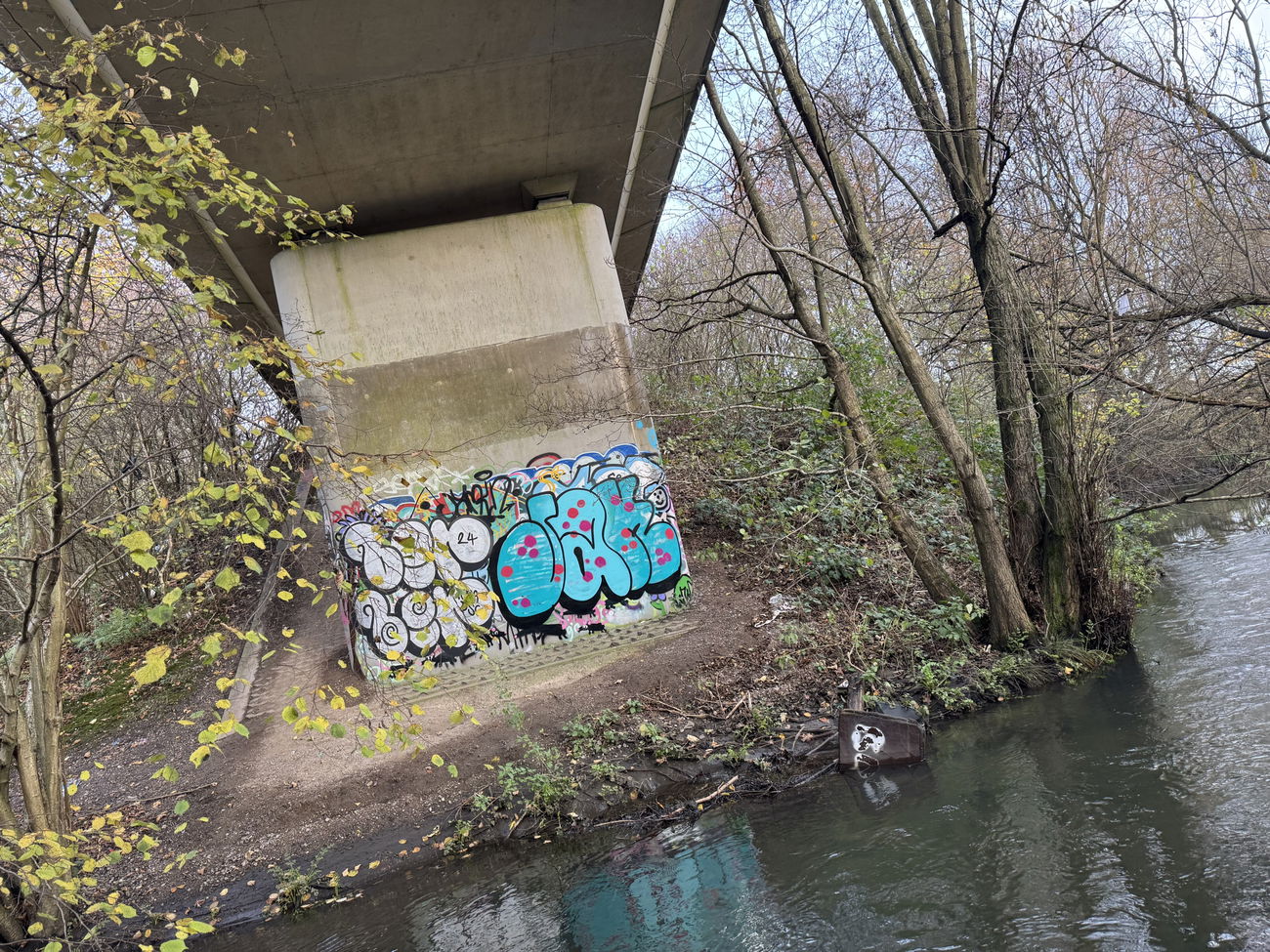 Graffiti Bombing - Photo by Chels23