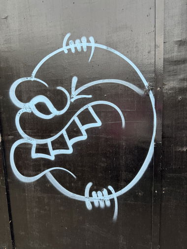 Graffiti Bombing - Photo by Chels23