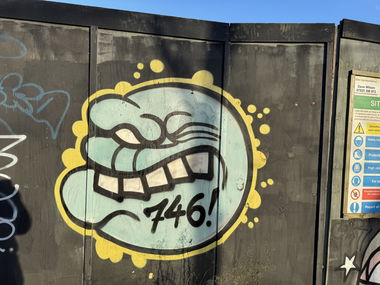 Graffiti Bombing - Photo by Chels23