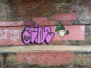 Graffiti Bombing in Aldershot - Photo by Chels23 - Minz, Mins (2024)
