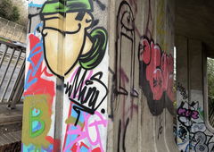 Photo #243166 by nikoM